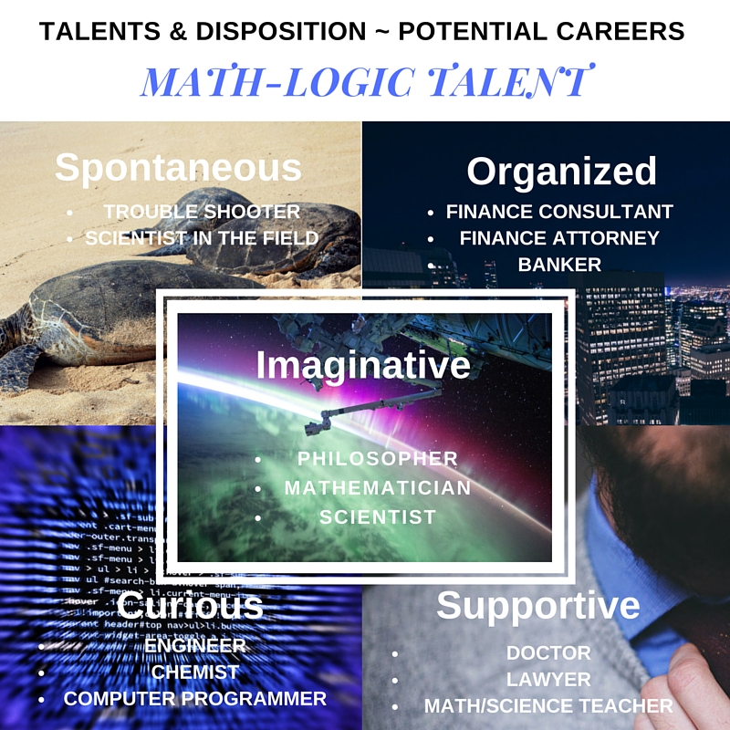 Math-Logic Talent- Disposition - Potential Careers (1)