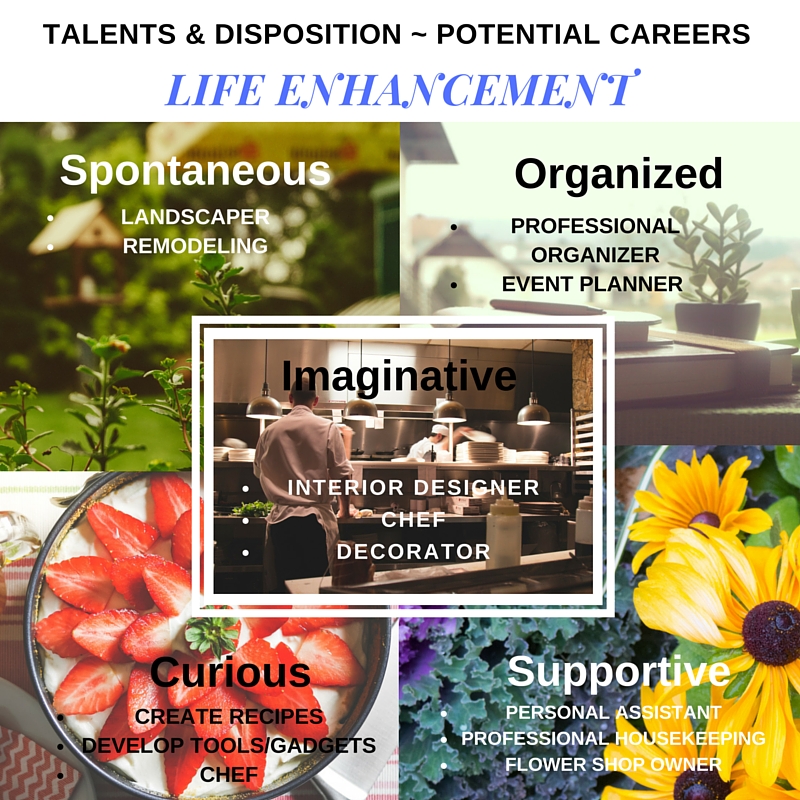 Life Enhancement - Disposition - Potential Careers (1)